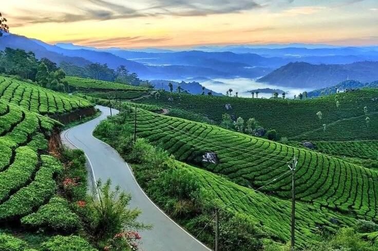 Kerala, Chakarghinni Travels