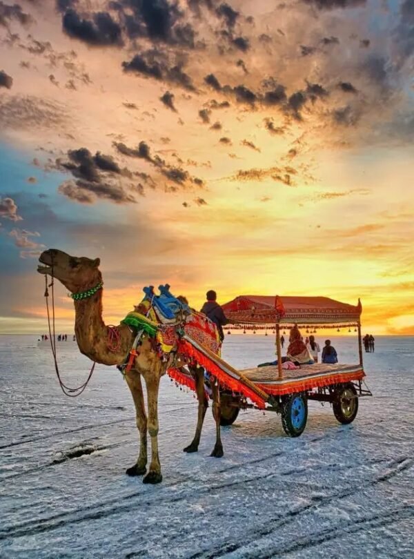 Rann of Kutch-Women Trip Chakarghinni