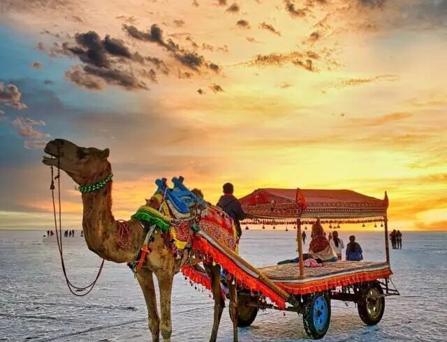 Rann of Kutch-Women Trip Chakarghinni